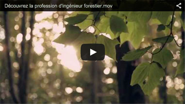 Découvrez la profession d'ingénieur forestier