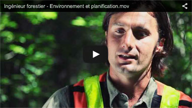 Ingénieur forestier - Environnement et planification