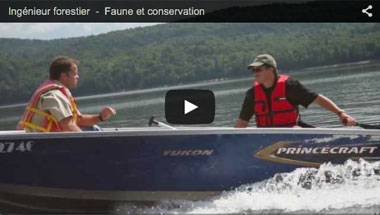 Ingénieur forestier - Faune et conservation