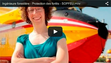 Ingénieure forestière - Protection des forêts