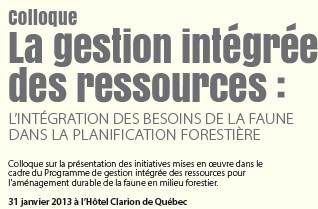 Bannière - Colloque - Aménagement durable de la faune en milieu forestier