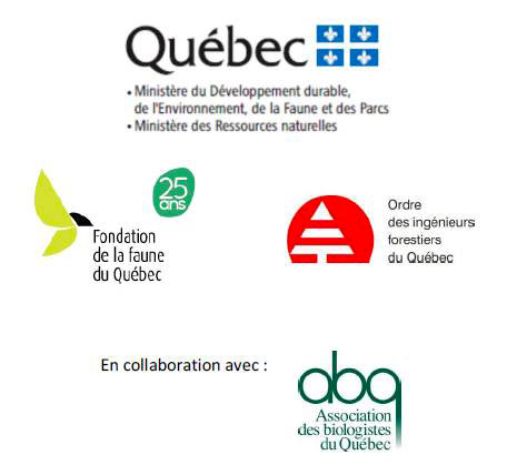 logos partenaires