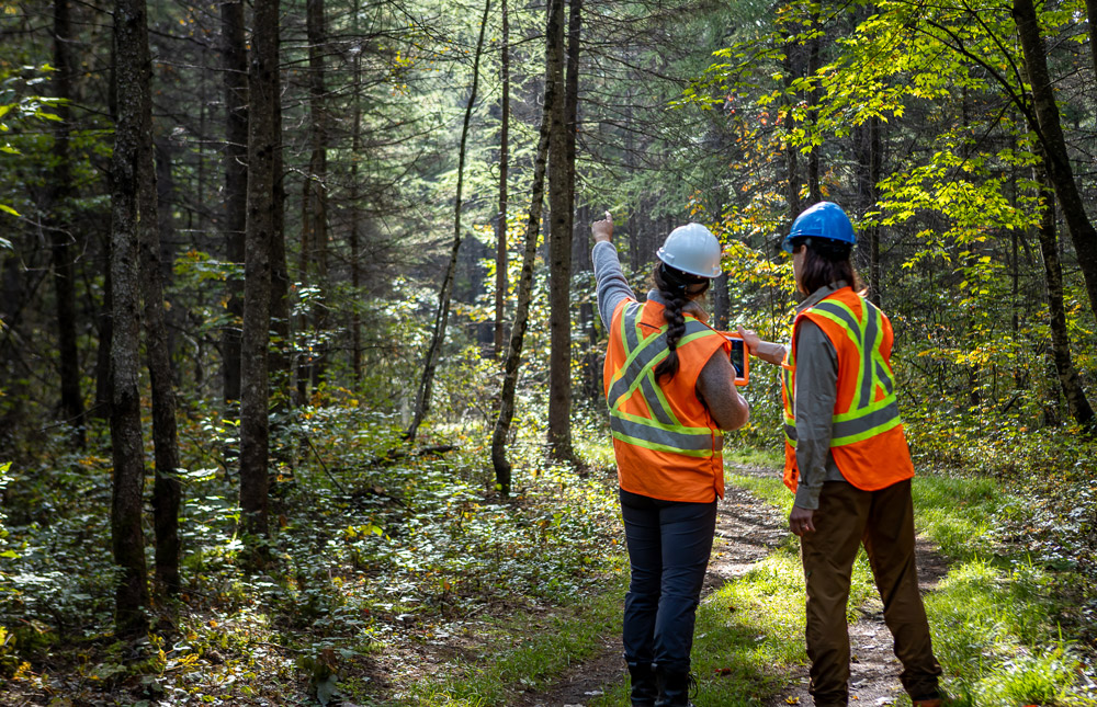 Lettre ouverte des partenaires du milieu forestier