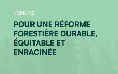 Présentation de notre mémoire sur le Projet de loi 97