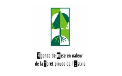 Ingénieure forestière ou Ingénieur forestier – Adjoint(e) au directeur général