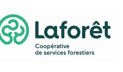 Ingénieure forestière ou Ingénieur forestier