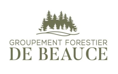Ingénieure forestière ou Ingénieur forestier