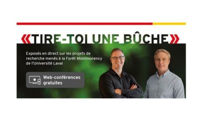 «Tire-toi une bûche »!