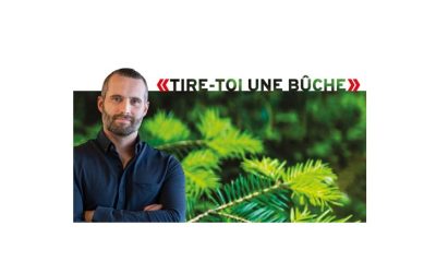 Web-conférence – «Tire-toi une bûche »! – 11 décembre 2025