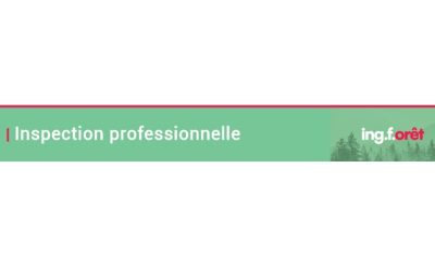Bulletin Fil-de-aiguille – Février 2026 – Inspection professionnelle