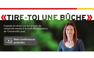 19 février 2026 – Web-conférence – «Tire-toi une bûche »!