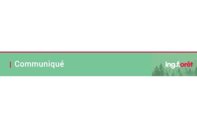 Communiqué de presse – Gestion des forêts : l’expertise professionnelle doit demeurer au coeur des décisions