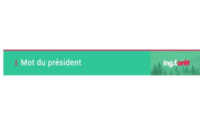 Bulletin Fil-de-aiguille – Février 2026 – Mot du président