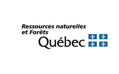 Une ou un responsable de la gestion des érablières acéricoles