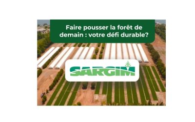 Directeur(trice) général(e) – SARGIM