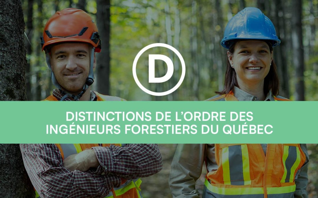 Distinctions de l’Ordre 2026