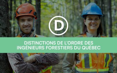 Distinctions de l’Ordre 2026