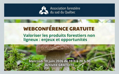 10 juin 2026 – Web conférence gratuite –  Valoriser les produits forestiers non ligneux : enjeux et opportunités